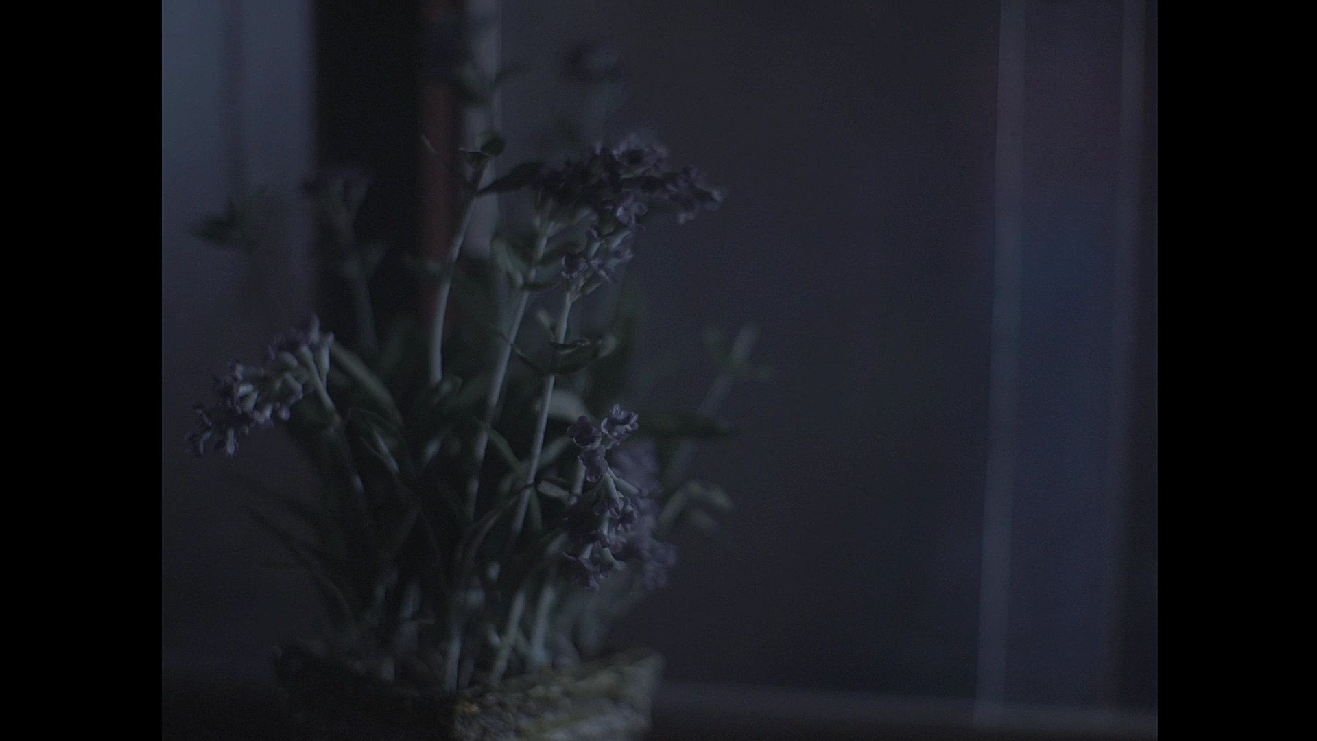 Bruch Film Still Frame